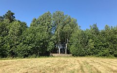 93_iP_190712_IMG_4116