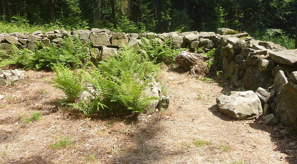 09_3D_P1310195.JPG