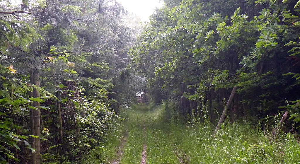 06_3D2_P1070476.JPG