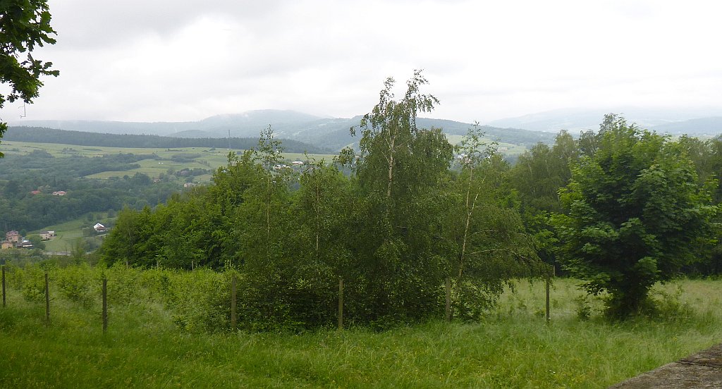 58_3D2_P1070464.JPG