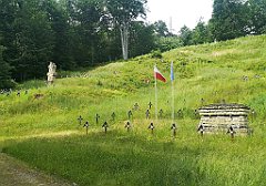 012_p20_IMG_20230621_140156