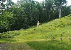 013_p20_IMG_20230621_140158