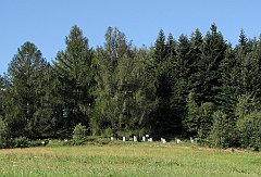 Cmentarz_Wojenny_369_Golcow