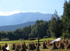 2645_Zawoja_na_Babia_Gore