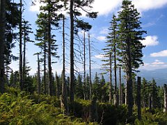 2665_Widok_na_Pilsko