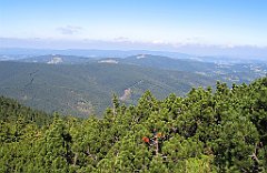 2675_MBG_widok_na_Pasmo_Jalowieckie