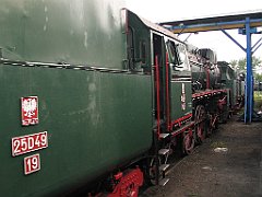 6313_parowoz