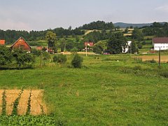 6353_widoczek
