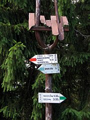 12041_Malinowska_Skala