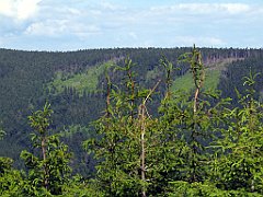 12095_Kopa_Skrzyczenska