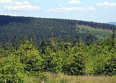 12098_Malinowska_Skala