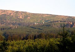 12783_Schr_Pod_Labskim_Szczytem