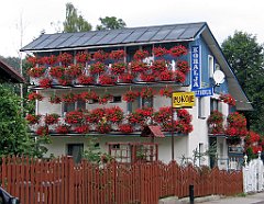 12819_Dom_w_pelargoniach