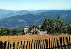 13481_Wisla_Jawornik