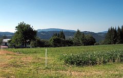 13588_Czantoria_z_Kobyly