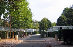 15445_Bois_de_Boulogne