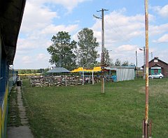 IMG_23723_cr