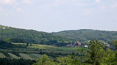 IMG_29026_cr