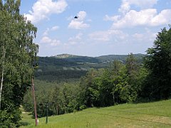 IMG_29029_cr
