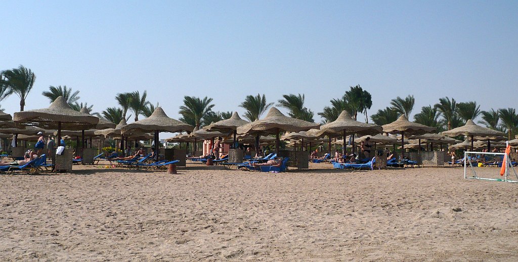 P1060694_cr.jpg