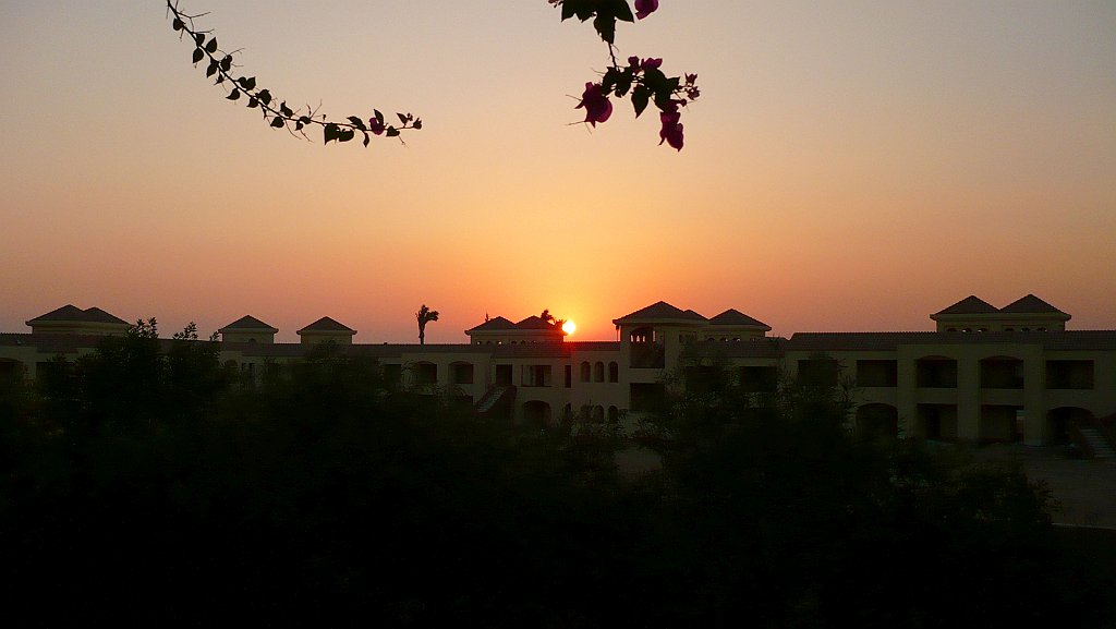 P1070630_cr.jpg