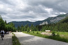 IMG_x4720_cr
