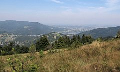 IMG_x7522_cr