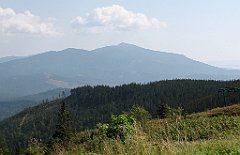 IMG_x7655_cr