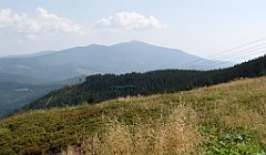 IMG_x7659_cr