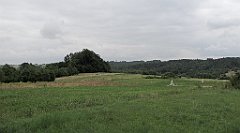 IMG_x14203_cr