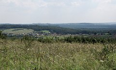 IMG_x14782_cr