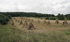 2010_08_04_Zloty_Potok