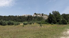 IMG_x17211_cr