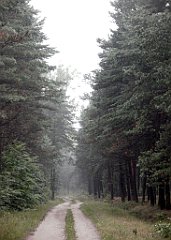 IMG_x17567_X44_P07290006_cr