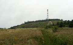 IMG_x17567_X44_P07290014_cr