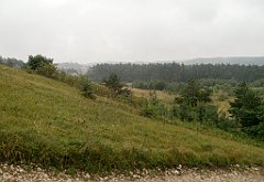 IMG_x17567_X44_P07290017_cr