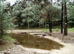 IMG_x17567_X44_P07290047_cr