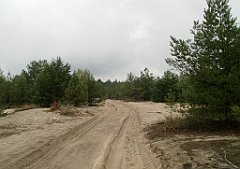 IMG_x17567_X44_P07290050_cr