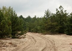 IMG_x17567_X44_P07290051_cr