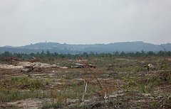 IMG_x17567_X44_P07290069_cr