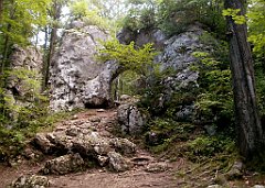 IMG_x17690_X44_P08060038_cr