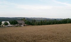 IMG_x17690_X44_P08060042_cr