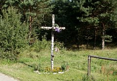 IMG_x17690_X44_P08060050_cr