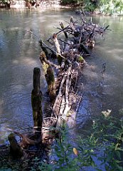 IMG_x18064_X44_P09010482_cr