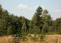 IMG_x18064_X44_P09010493_cr