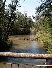 IMG_x18064_X44_P09010503_cr