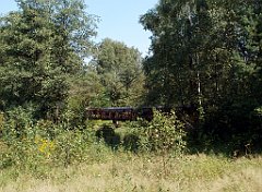 IMG_x18064_X44_P09010510_cr