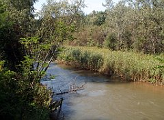 IMG_x18064_X44_P09010512_cr