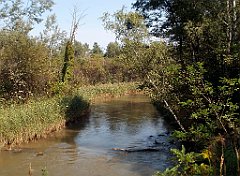 IMG_x18064_X44_P09010513_cr