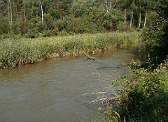 IMG_x18064_X44_P09010522_cr